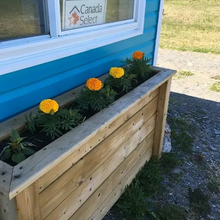 Down Home Accommodations Rocky Harbour Exterior photo